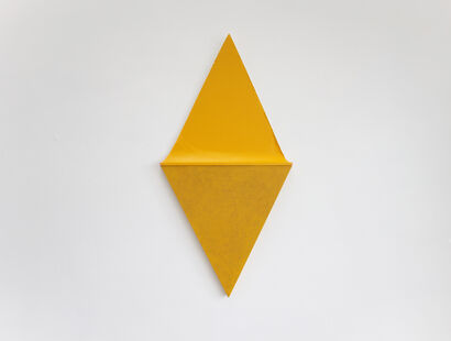 F-Yellow Iris - a Paint Artowrk by Silvia Lerin